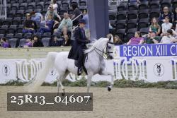 25R13_04607 thumbnail