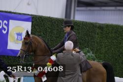 25R13_04608 thumbnail
