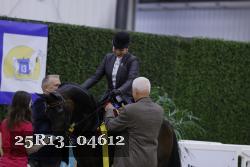 25R13_04612 thumbnail