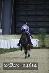 25R13_04614 thumbnail