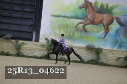 25R13_04622 thumbnail