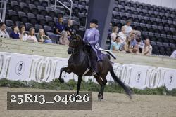 25R13_04626 thumbnail