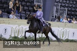 25R13_04628 thumbnail