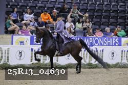 25R13_04630 thumbnail