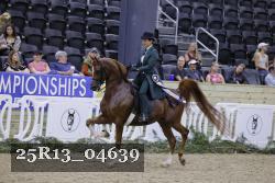25R13_04639 thumbnail