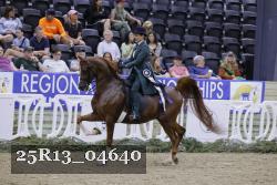 25R13_04640 thumbnail
