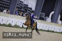 25R13_04647 thumbnail