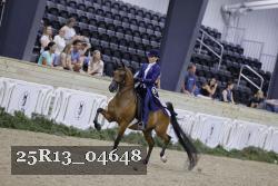25R13_04648 thumbnail