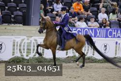 25R13_04651 thumbnail