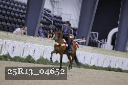 25R13_04652 thumbnail