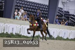 25R13_04653 thumbnail