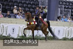 25R13_04655 thumbnail