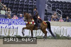 25R13_04657 thumbnail