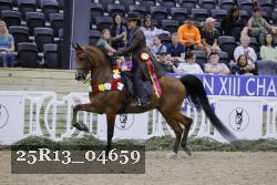 25R13_04659 thumbnail