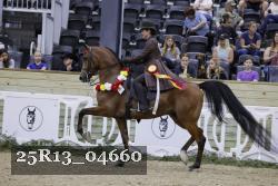 25R13_04660 thumbnail