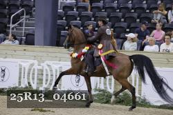 25R13_04661 thumbnail
