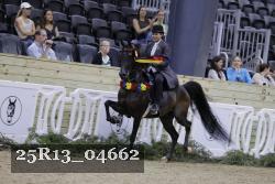 25R13_04662 thumbnail