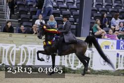 25R13_04665 thumbnail