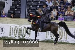 25R13_04666 thumbnail