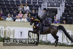 25R13_04667 thumbnail