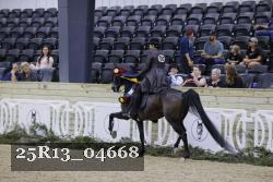 25R13_04668 thumbnail