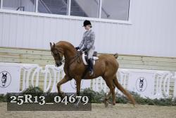 25R13_04679 thumbnail