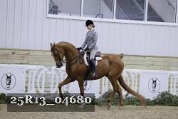 25R13_04680 thumbnail