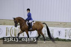 25R13_04685 thumbnail