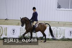 25R13_04688 thumbnail