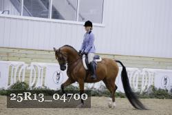 25R13_04700 thumbnail