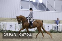 25R13_04704 thumbnail