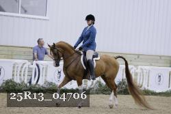25R13_04706 thumbnail