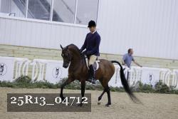 25R13_04712 thumbnail