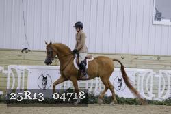 25R13_04718 thumbnail
