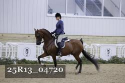 25R13_04720 thumbnail