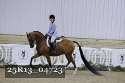 25R13_04723 thumbnail