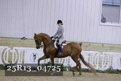25R13_04725 thumbnail