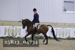 25R13_04734 thumbnail