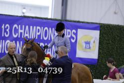 25R13_04739 thumbnail