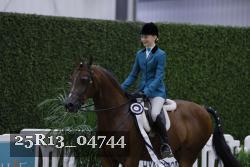 25R13_04744 thumbnail