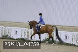 25R13_04759 thumbnail