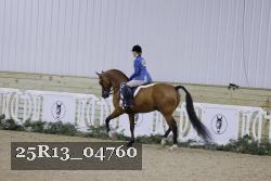 25R13_04760 thumbnail