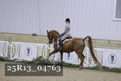 25R13_04763 thumbnail