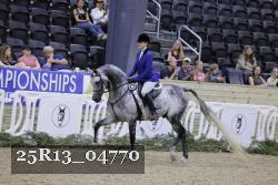25R13_04770 thumbnail