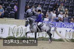 25R13_04771 thumbnail