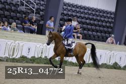 25R13_04772 thumbnail