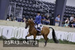 25R13_04773 thumbnail