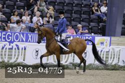 25R13_04775 thumbnail
