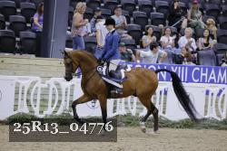 25R13_04776 thumbnail