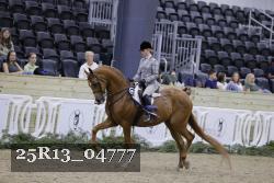 25R13_04777 thumbnail